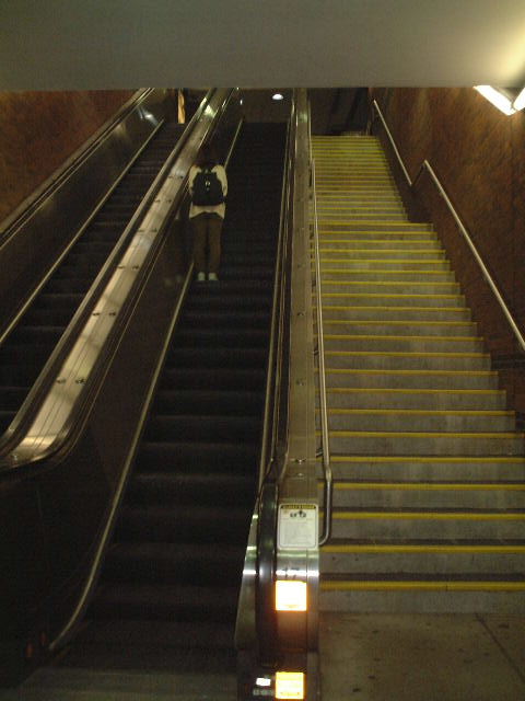 階段・エスカレーターの写真